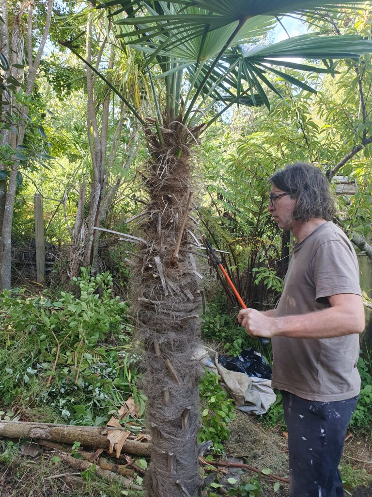Weeding for BioSignals