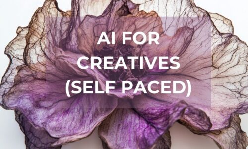 Ai Self Paced for Site Ai Self Paced for Site