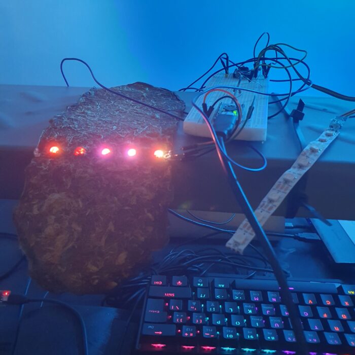 20250415_093347